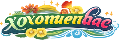 Logo xoxomienbac